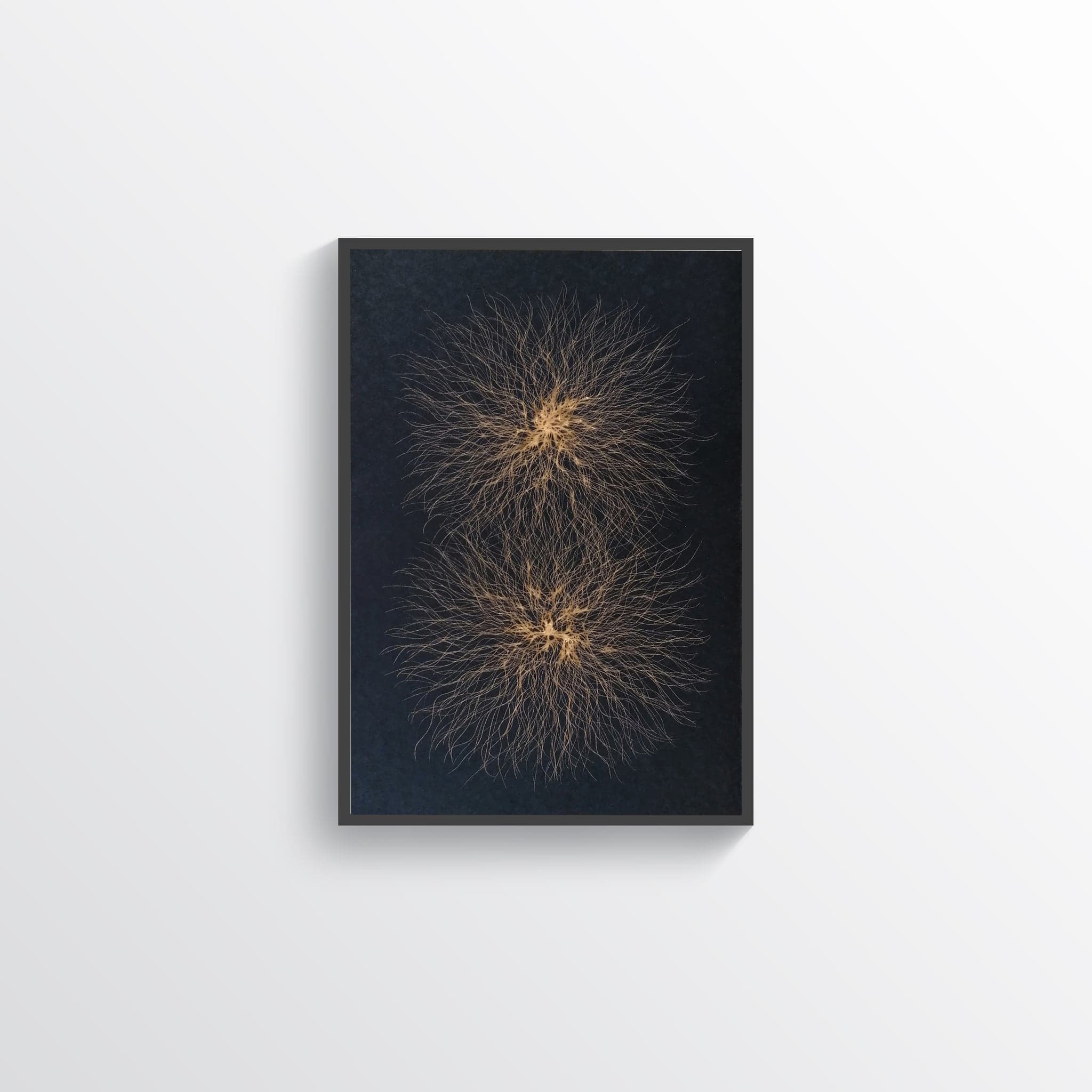 A black sheet with two dense radiating bursts of fine golden filaments, like dandelion heads
