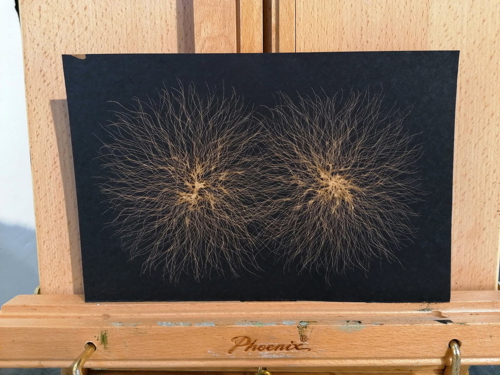 One of the sheets standing on a wooden easel in daylight, showing it is loose black paper rather than a panel