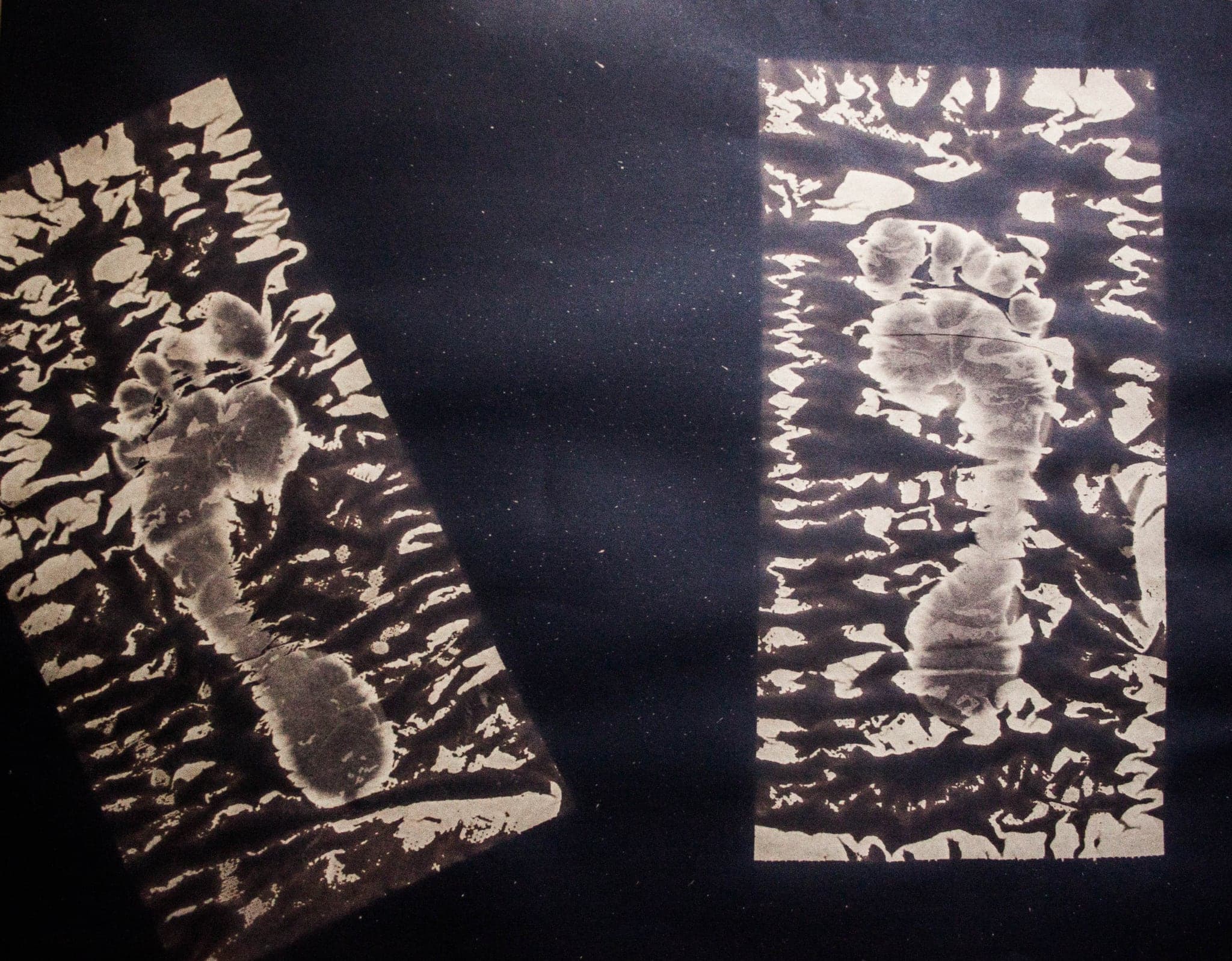 Two dark panels of torn bands side by side, pale forms showing through the gaps.