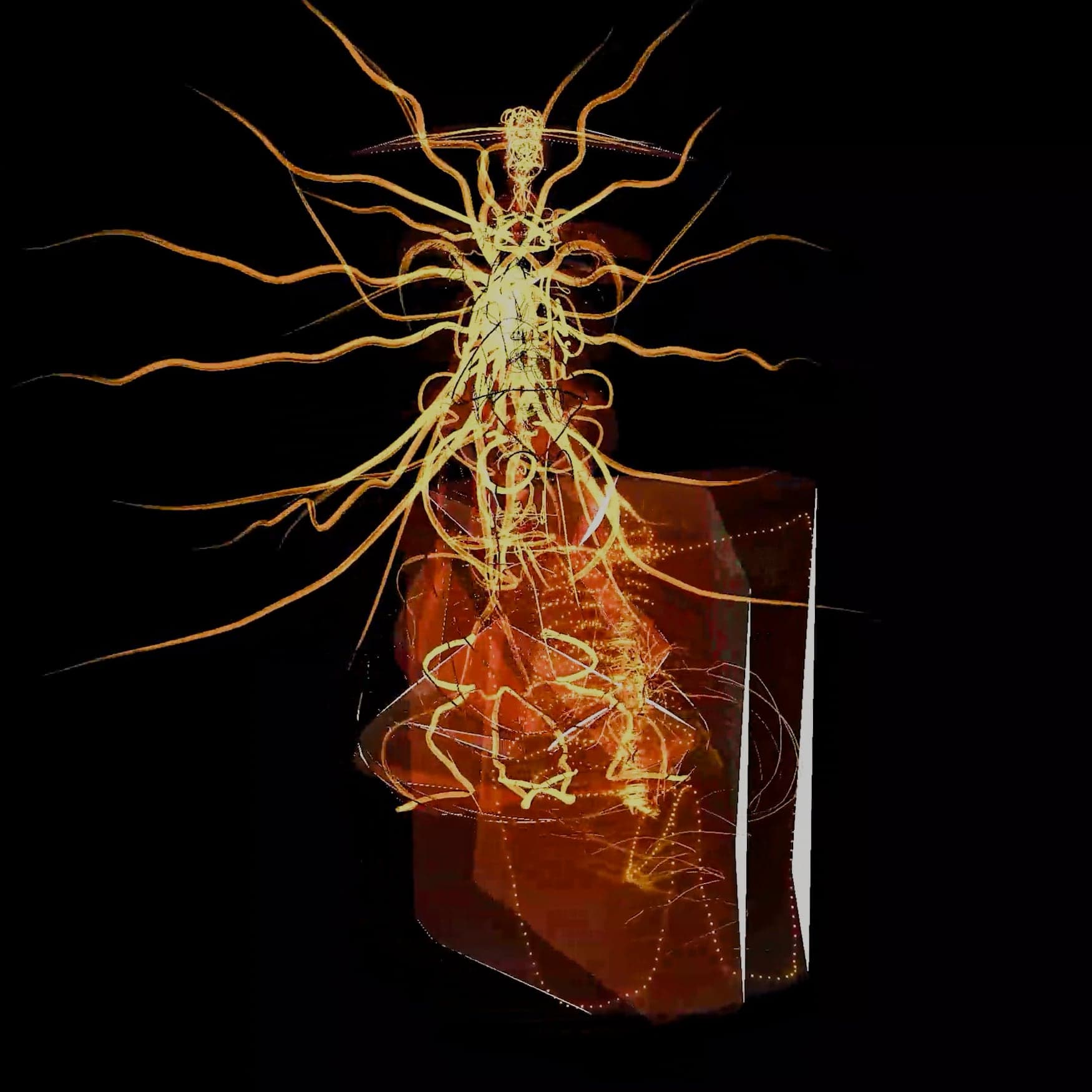 A gold filament sculpture like a nerve tree, its threads spreading outward, standing over a translucent amber-red block on black