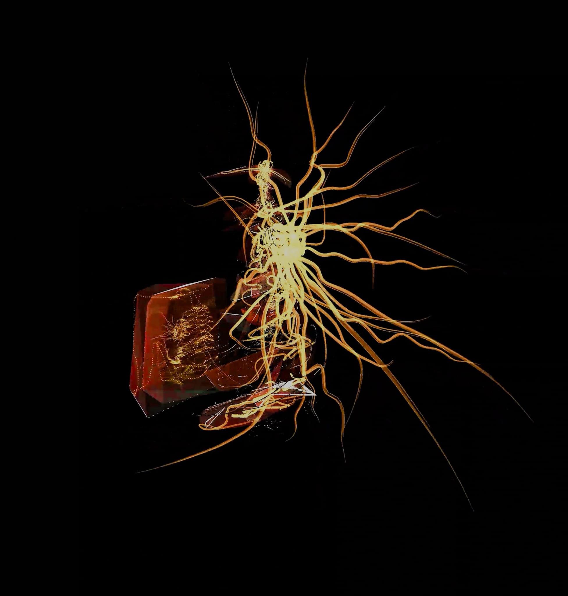 The amber block to the left of frame with the gold filaments blowing out to the right like hair