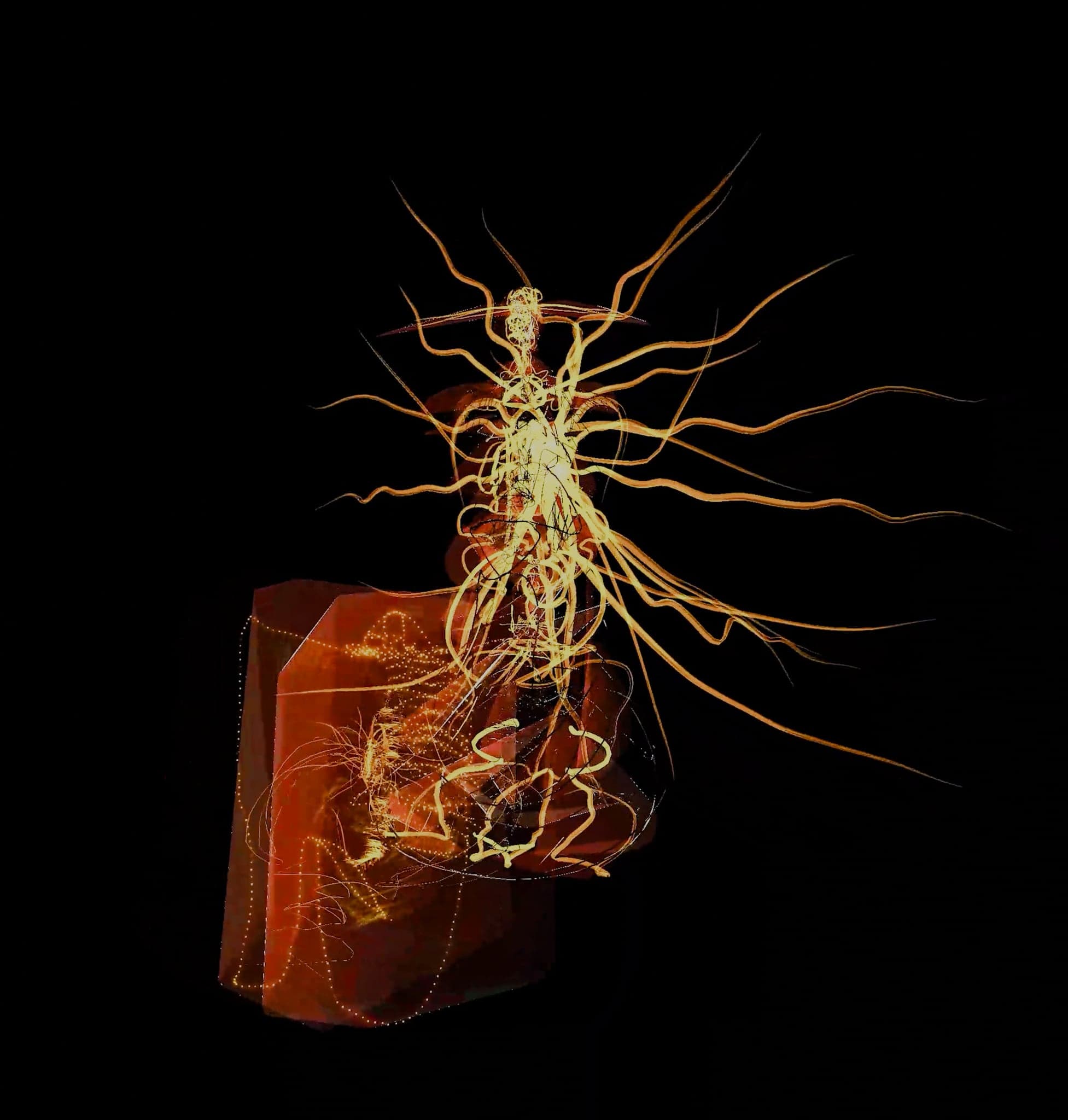 The fullest view: filaments spread to their widest, the amber block closed again beneath them