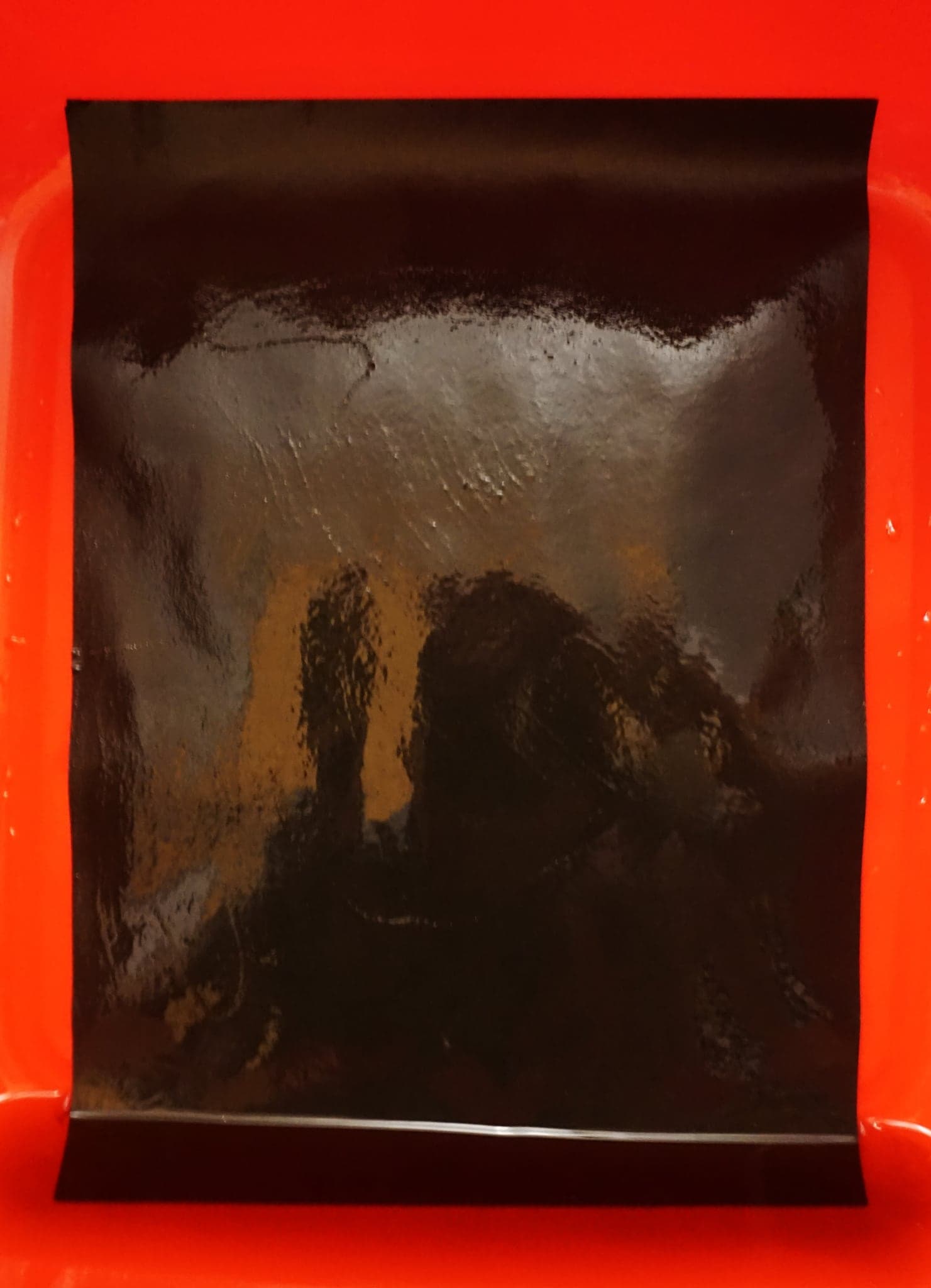 A wet dark print lying in a bright red developing tray, its surface glossy, the image resolving into faint ochre shapes.