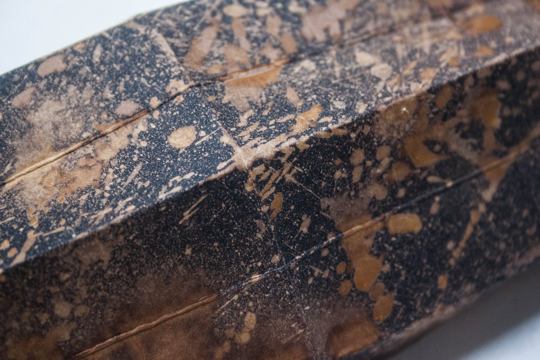 Close on that surface, dark and heavily speckled with pale flecks and one long crease.