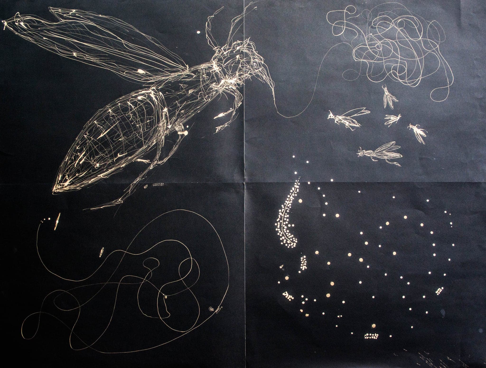 A large winged insect drawn in hair-thin pale lines fills the left of a folded black sheet; a swarm of smaller insects, a loose tangle and a scatter of dots occupy the right.